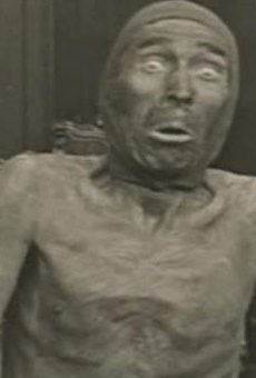 Películas de Joel Day