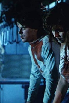 Películas de Joel Hoffman