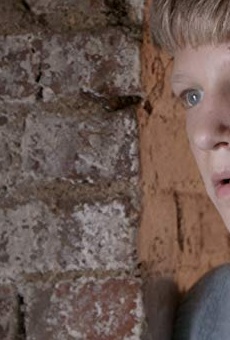 Películas de Joes Brauers