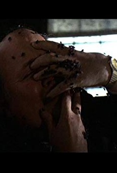 Películas de John Harkins