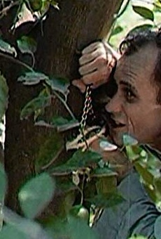 Películas de John Parker