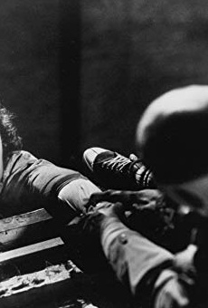 Películas de John Walsh