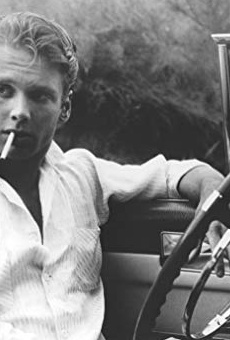 Películas de John Wildman