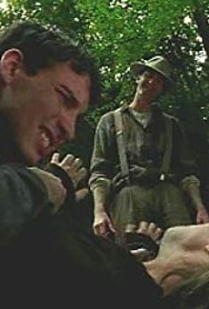 Películas de Johnny Francis Wolf Películas de Johnny Francis Wolf