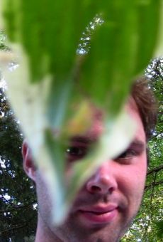 Películas de Jon R. Portrey Películas de Jon R. Portrey