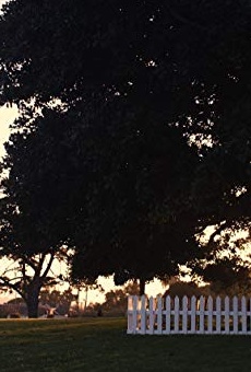 Películas de Jonathan Timmerman