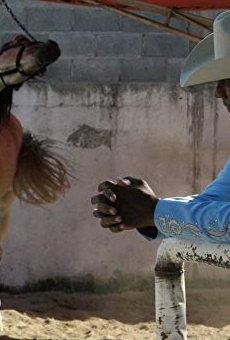 Películas de José Guadalupe Esparza