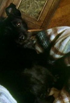 Películas de Joshua