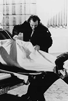 Películas de Josse De Pauw