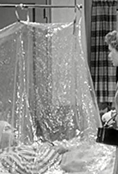 Películas de June Dayton