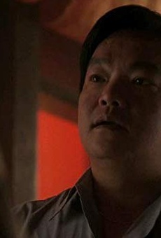 Películas de Jusak Bernhard