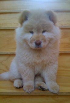 Películas de Justin Campbell