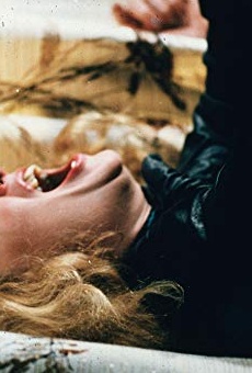 Películas de K.C. Townsend