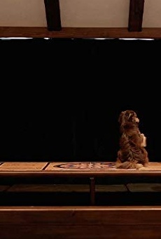 Películas de Kambuzia Partovi