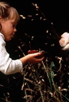 Películas de Kara Keough