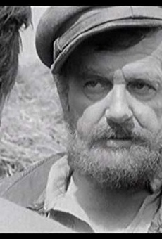 Películas de Karel Meister Películas de Karel Meister