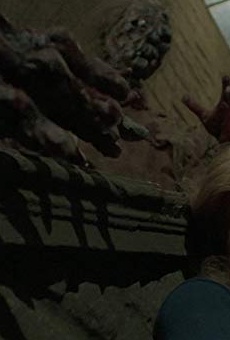 Películas de Karin Well