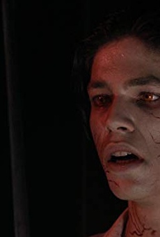 Películas de Karl Zinny