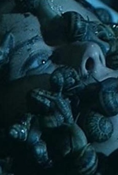 Películas de Kathi Wise