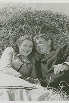 Películas de Åke Engfeldt