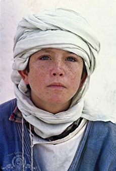 Películas de Kelly Reno