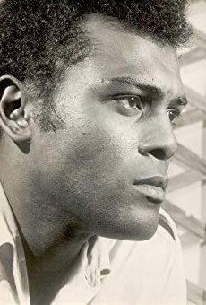 Películas de Ken Gajadhar Películas de Ken Gajadhar