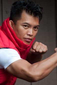 Películas de Kenji Saykosy