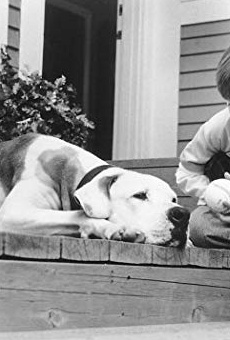 Películas de Kevin Chevalia Películas de Kevin Chevalia