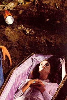 Películas de Kieran Canter