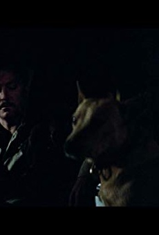 Películas de Killer