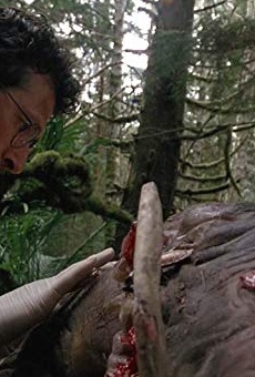 Películas de Kim Kondrashoff