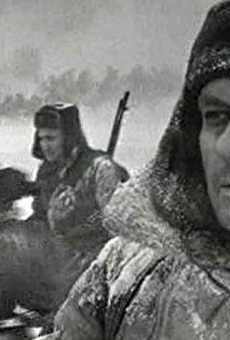 Películas de Kirill Lavrov