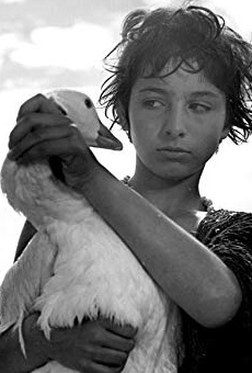 Películas de Kleopatra Rota