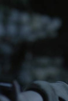 Películas de Korbyn Hawk Hanan