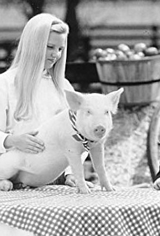 Películas de Kristy Young