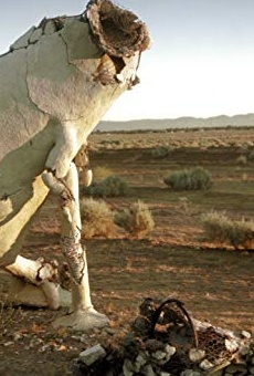 Películas de Kyle Arrington