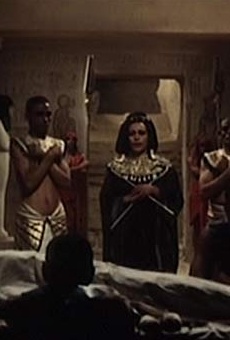 Películas de Laila Nasr