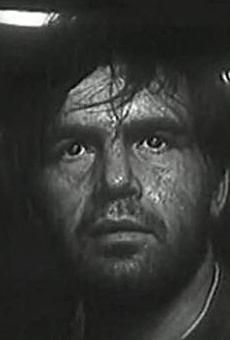 Películas de Laimonas Noreika