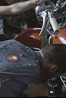 Películas de Lawrence Matarese