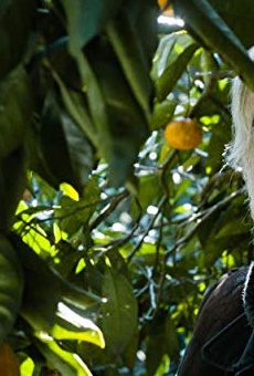 Películas de Lembit Ulfsak