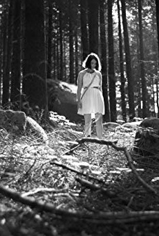 Películas de Lília Lopes Películas de Lília Lopes