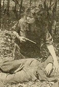 Películas de Lillian Drew