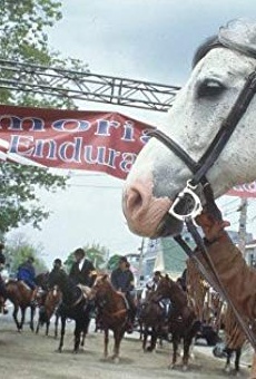 Películas de Lindze Letherman