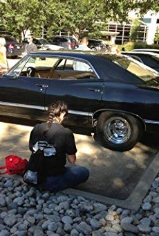 Películas de Lisa Diamont