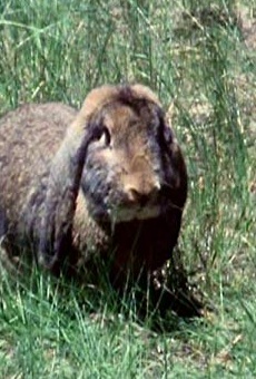 Películas de Louise