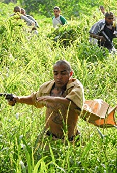 Películas de Luis Fernando