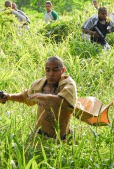 Películas de Luis Fernando (2)