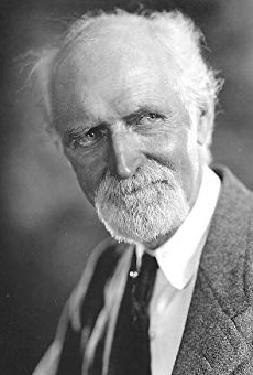 Películas de Luke Cosgrave