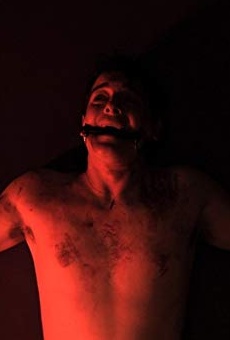 Películas de Luke de Lacey