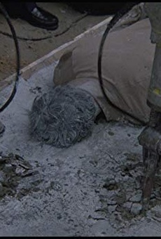 Películas de Luke Walter